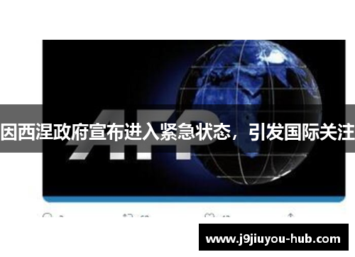 因西涅政府宣布进入紧急状态，引发国际关注